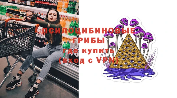 альфа пвп Инта