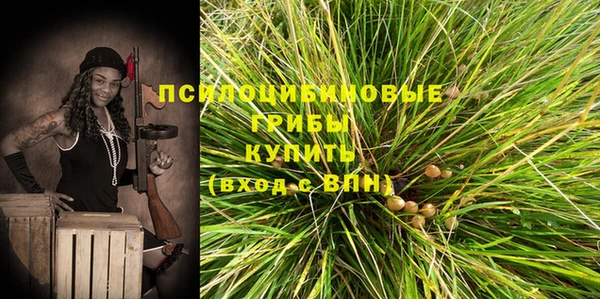 jwh Инсар