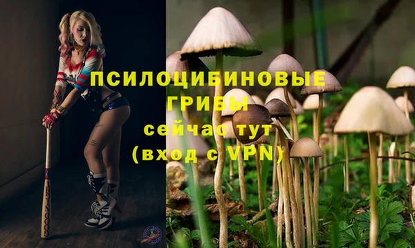 альфа пвп Инта