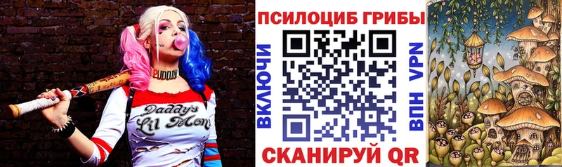 Купить закладки  Малоярославец  Псилоцибиновые грибы Psilocybe 